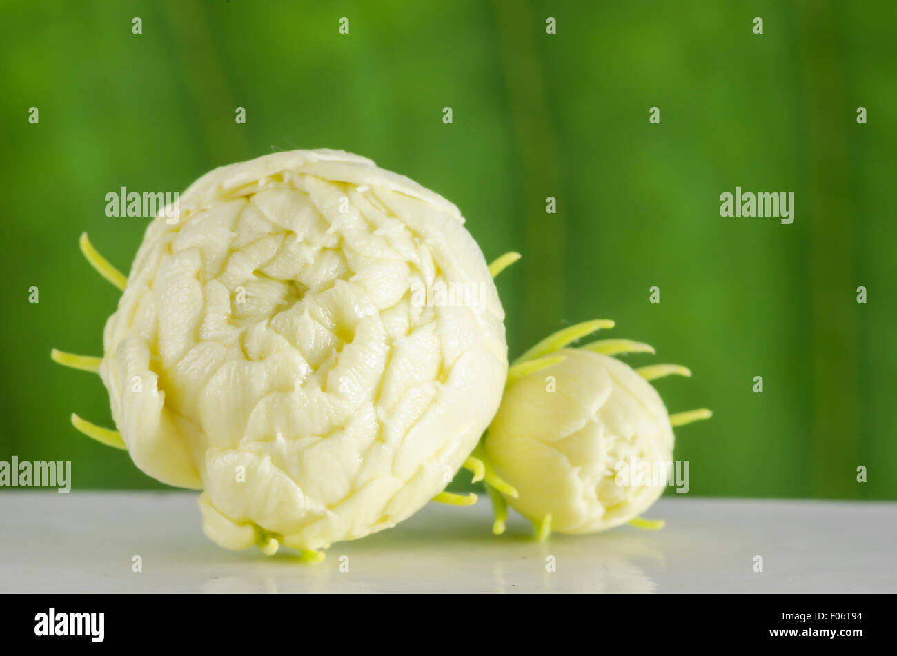 Fiori di gelsomino con il fuoco selettivo. Foto Stock