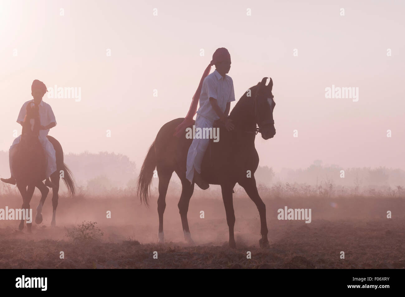 Due indiani gli uomini a cavallo i loro cavalli Marwari bareback all'alba. Foto Stock