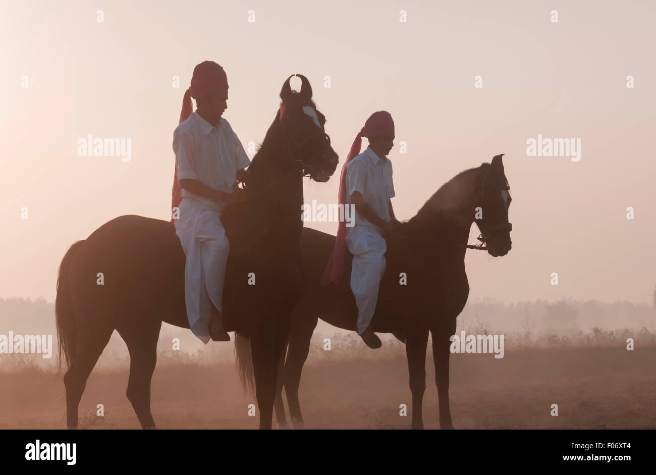 Due indiani gli uomini a cavallo i loro cavalli Marwari bareback all'alba. Foto Stock