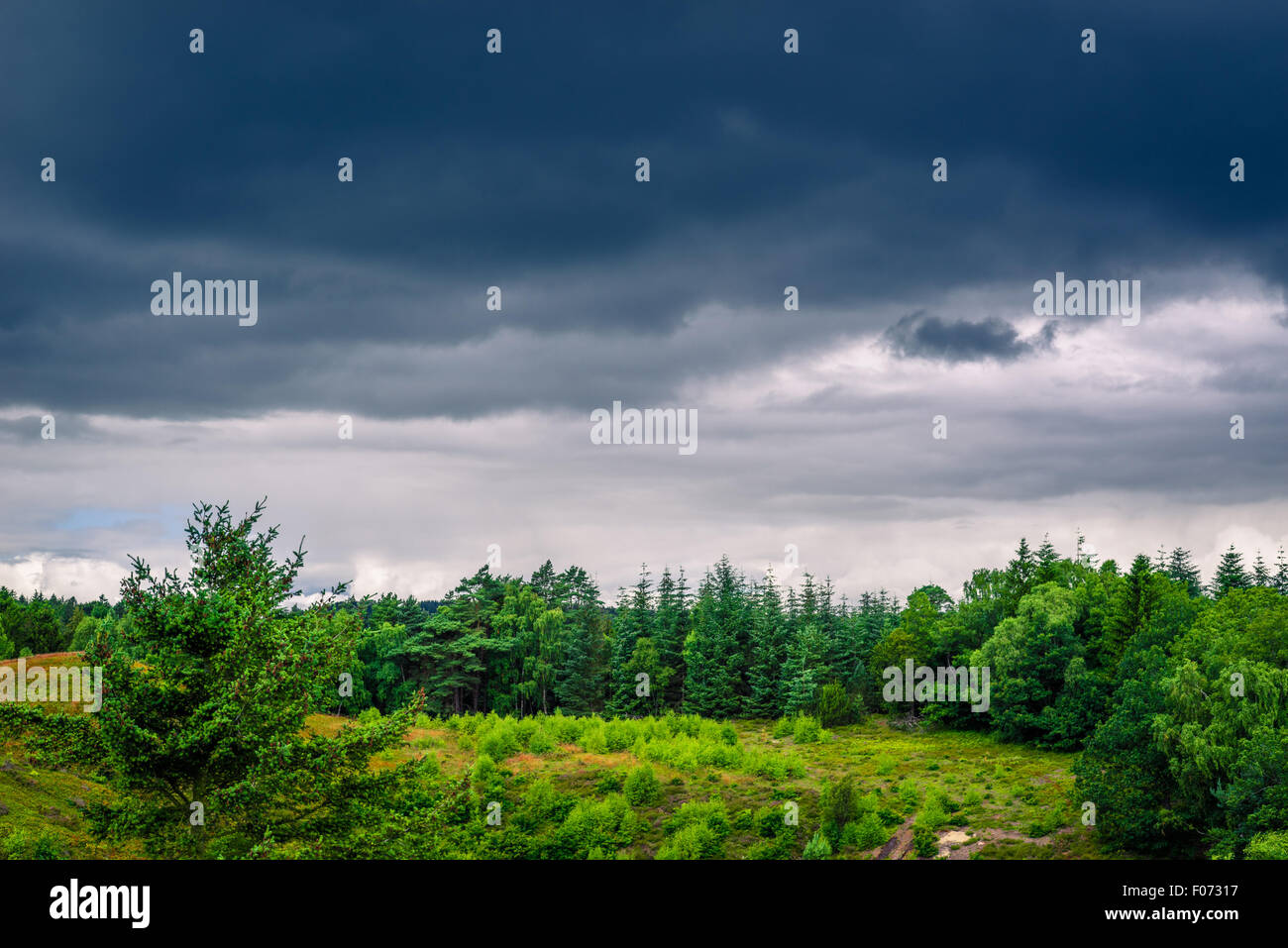 Paesaggio danese con nuvole scure in estate Foto Stock