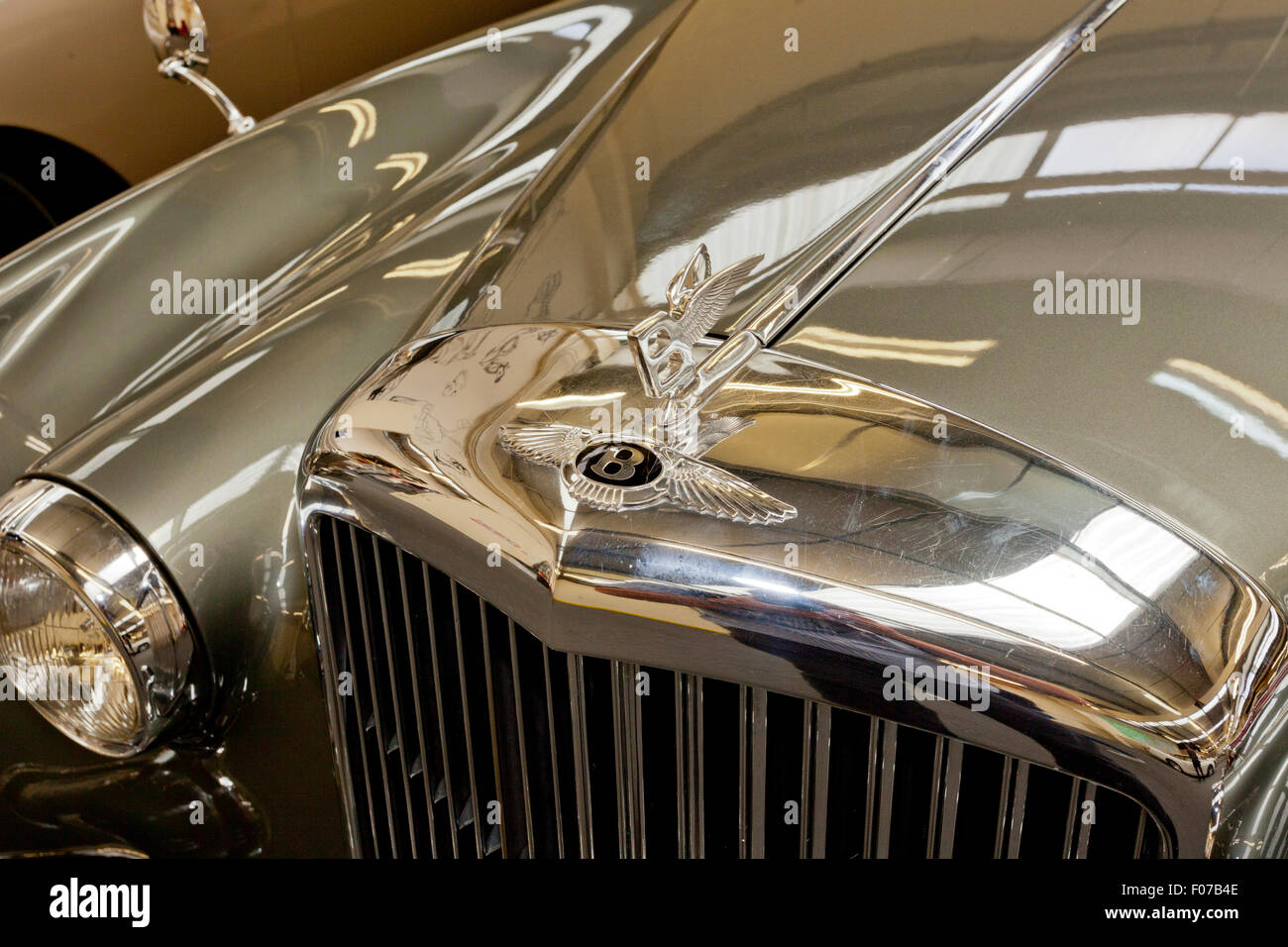 Una Bentley mascotte del radiatore in Haynes International Motor Museum, Sparkford, Somerset, Inghilterra, Regno Unito Foto Stock