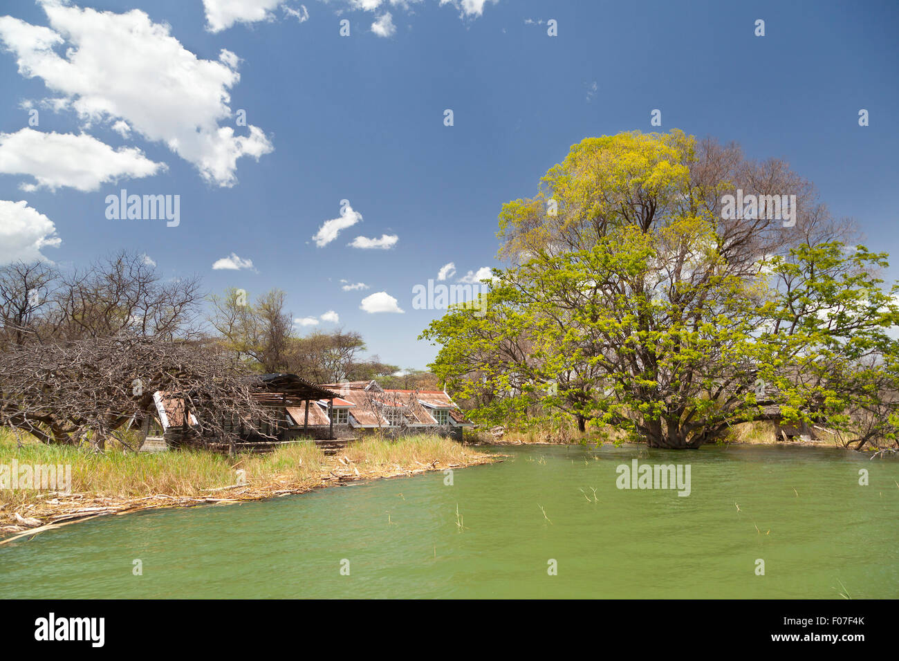 In un invaso hotel resort a Lake Baringo in Kenya. In molti villaggi turistici dove distrutto quando il lago di livello di acqua di rose inaspettatamente da fou Foto Stock