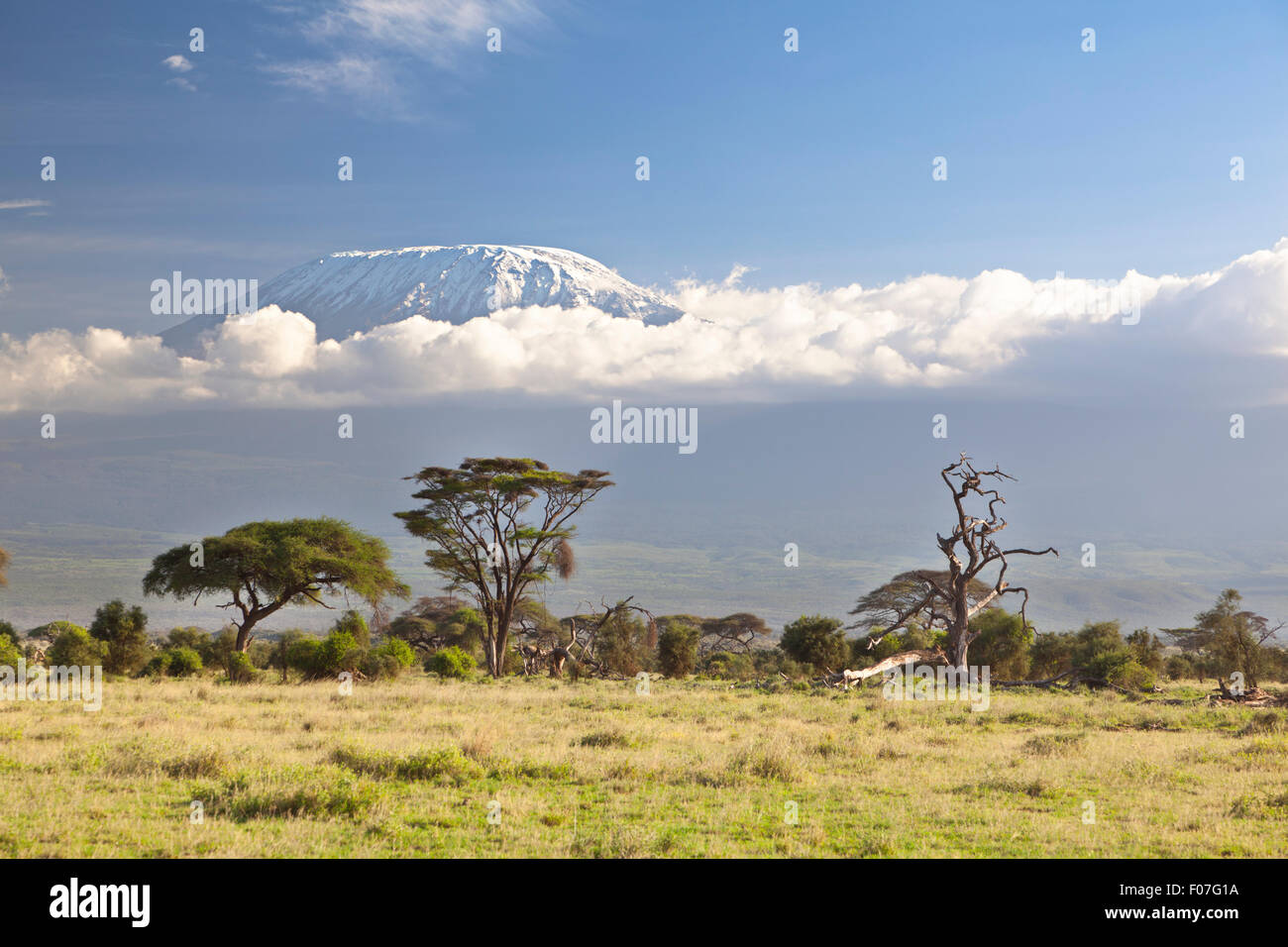 Kilimanjaro con cappuccio di neve visto da di Amboseli National Park in Kenya. Foto Stock
