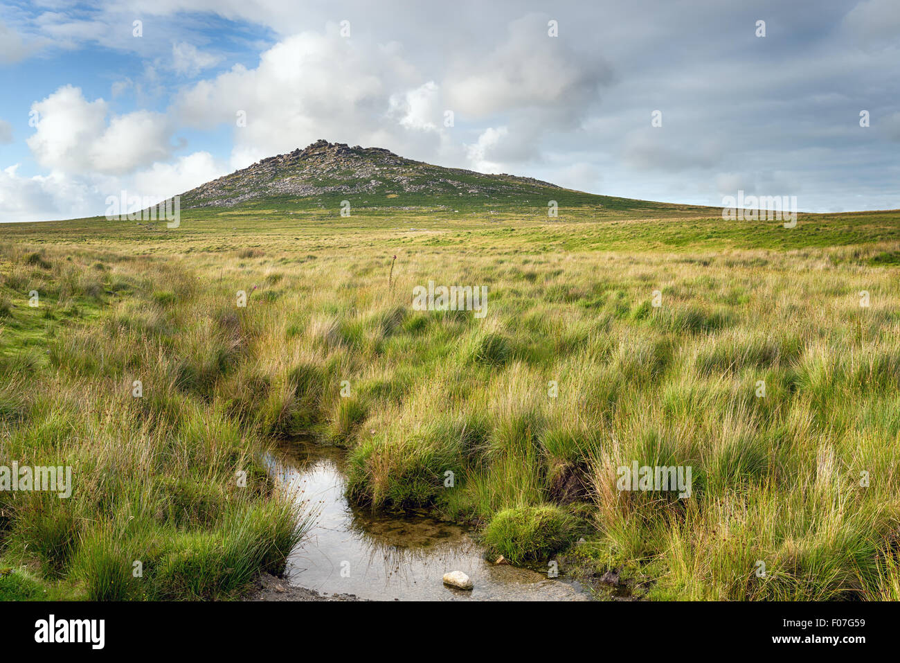 Granito erbosa brughiera al piede di Roughtor su Bodmin Moor in Cornovaglia, chiamato anche ruvida Tor è la seconda cima più alta Foto Stock