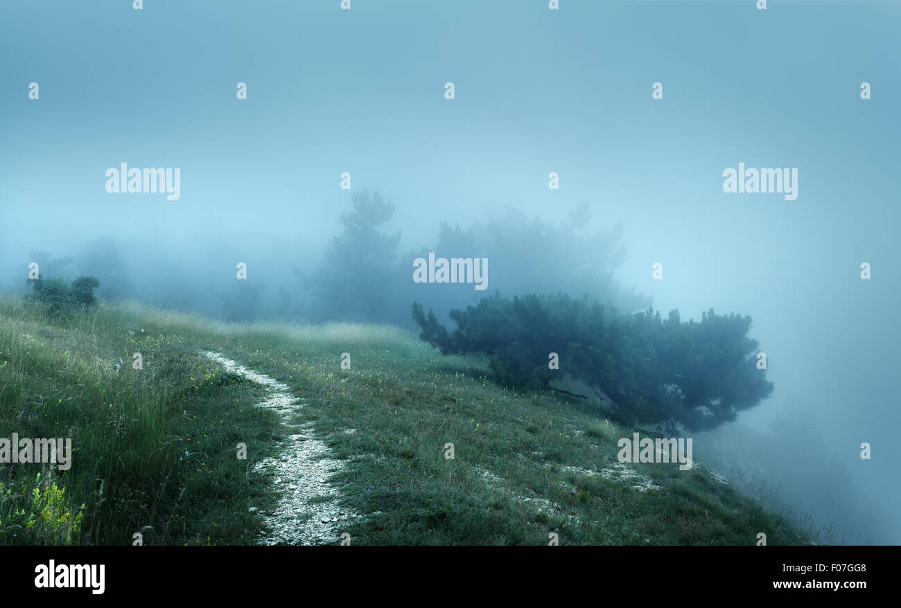 Percorso attraverso un misterioso vecchio foresta nella nebbia sulla cima della montagna. Mattinata estiva in Crimea. Magica atmosfera. Fairy Foto Stock