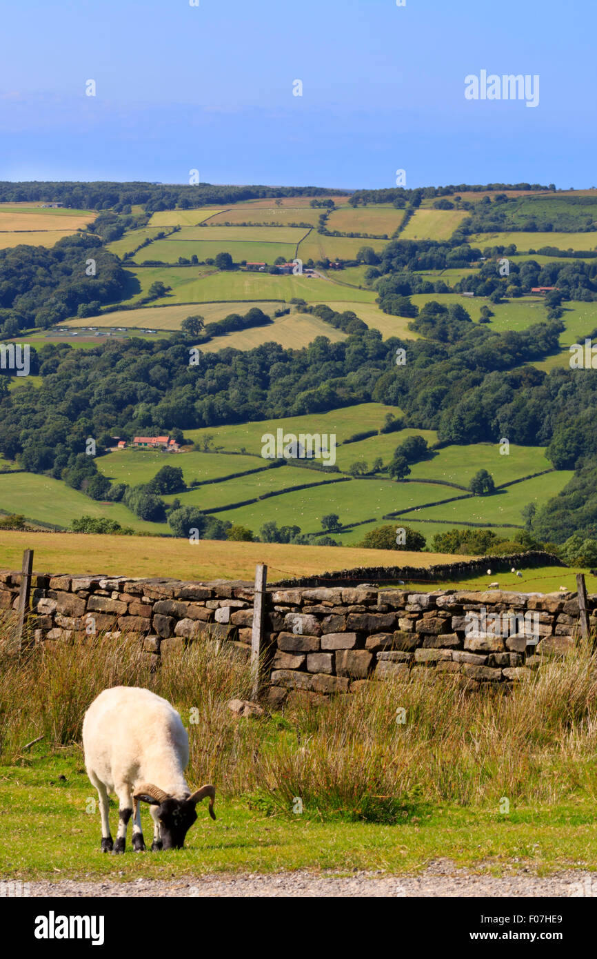 Esk Valley da Fair Head Lane, vicino a Grosmont, North Yorkshire Foto Stock