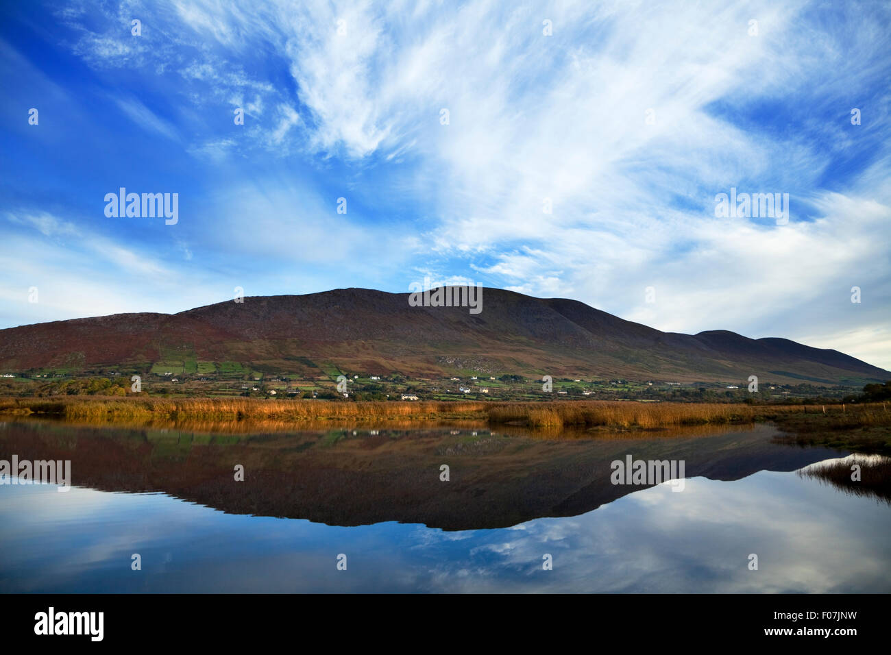 A nord di Caherciveen, Ring of Kerry County Kerry, Irlanda Foto Stock