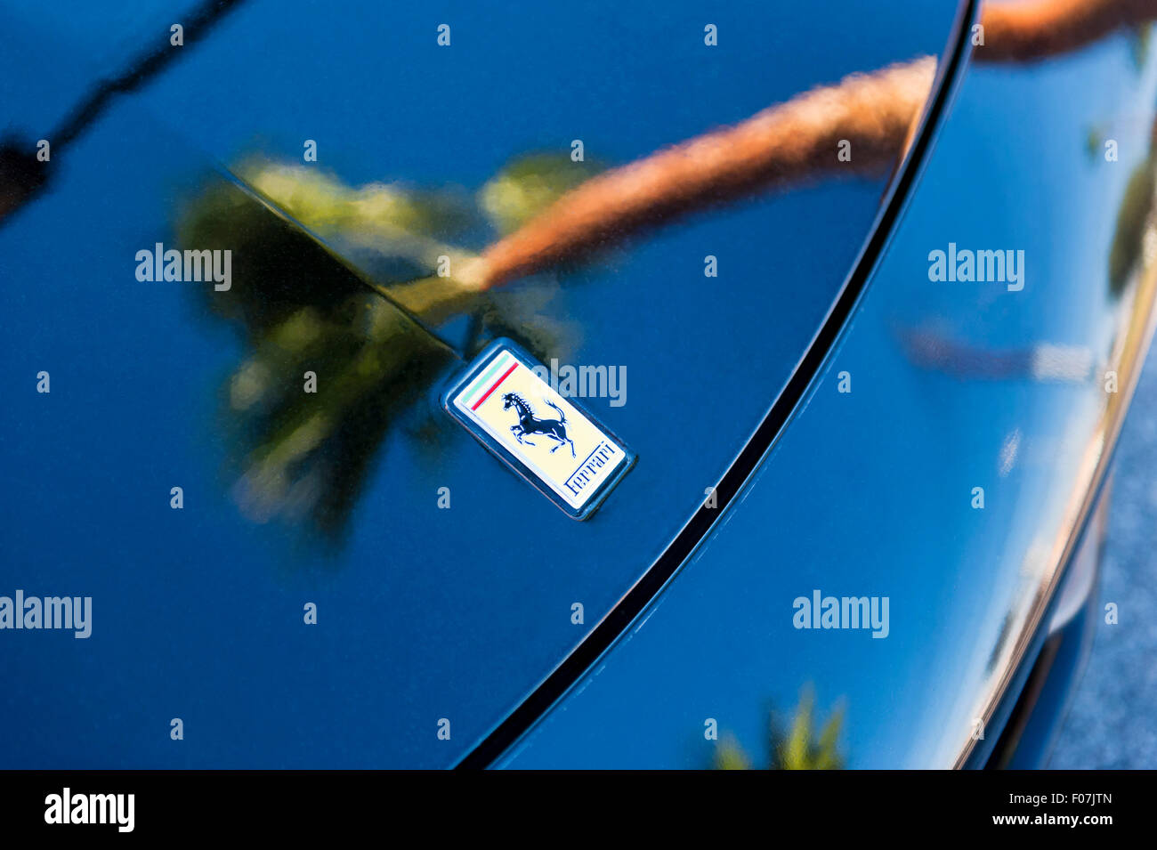 Ferrari logo sul cofano della macchina con un Palm tree reflection in High gloss vernice Foto Stock