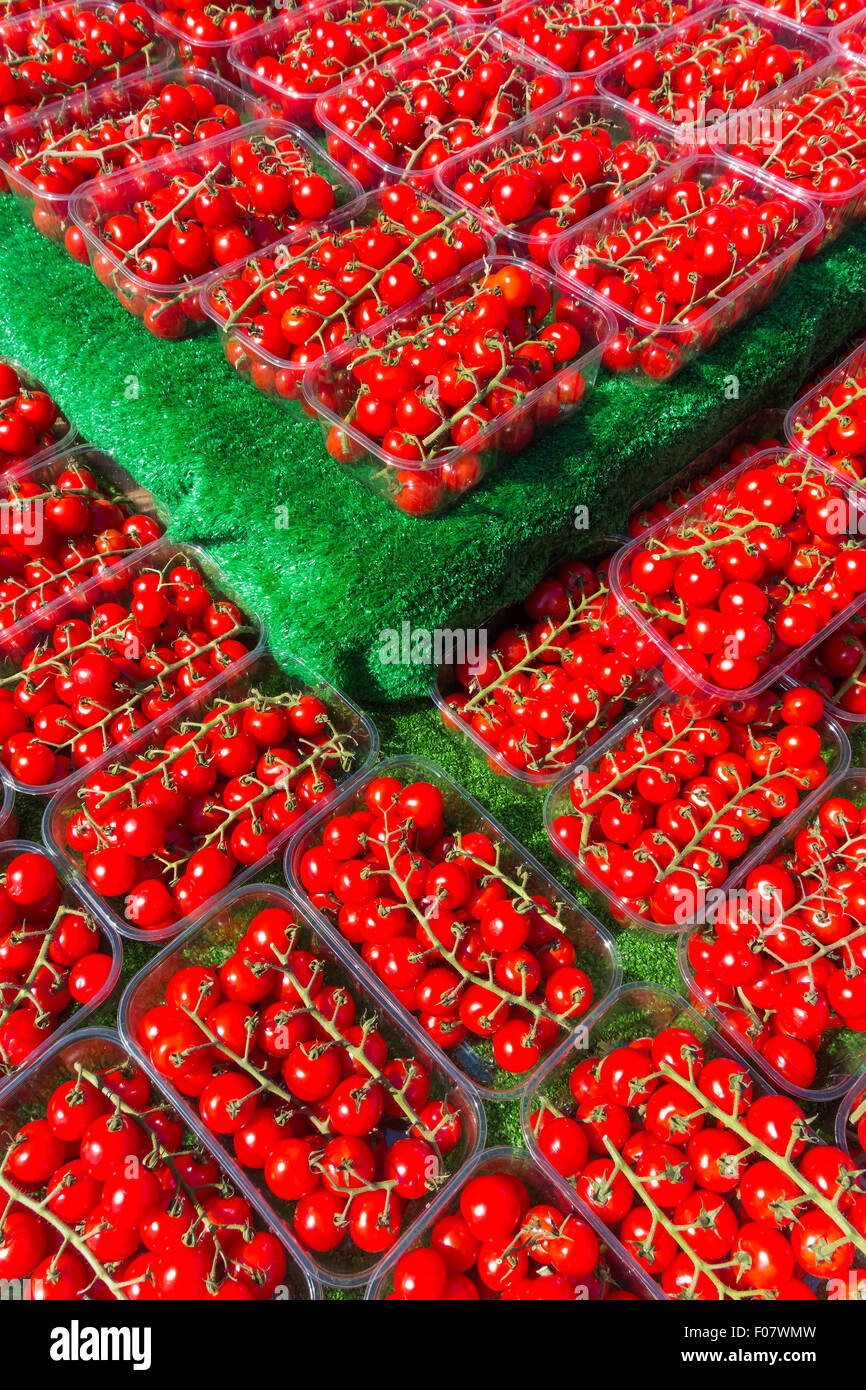 Vite pomodorini sul display su un mercato in stallo in estate Inghilterra REGNO UNITO Foto Stock