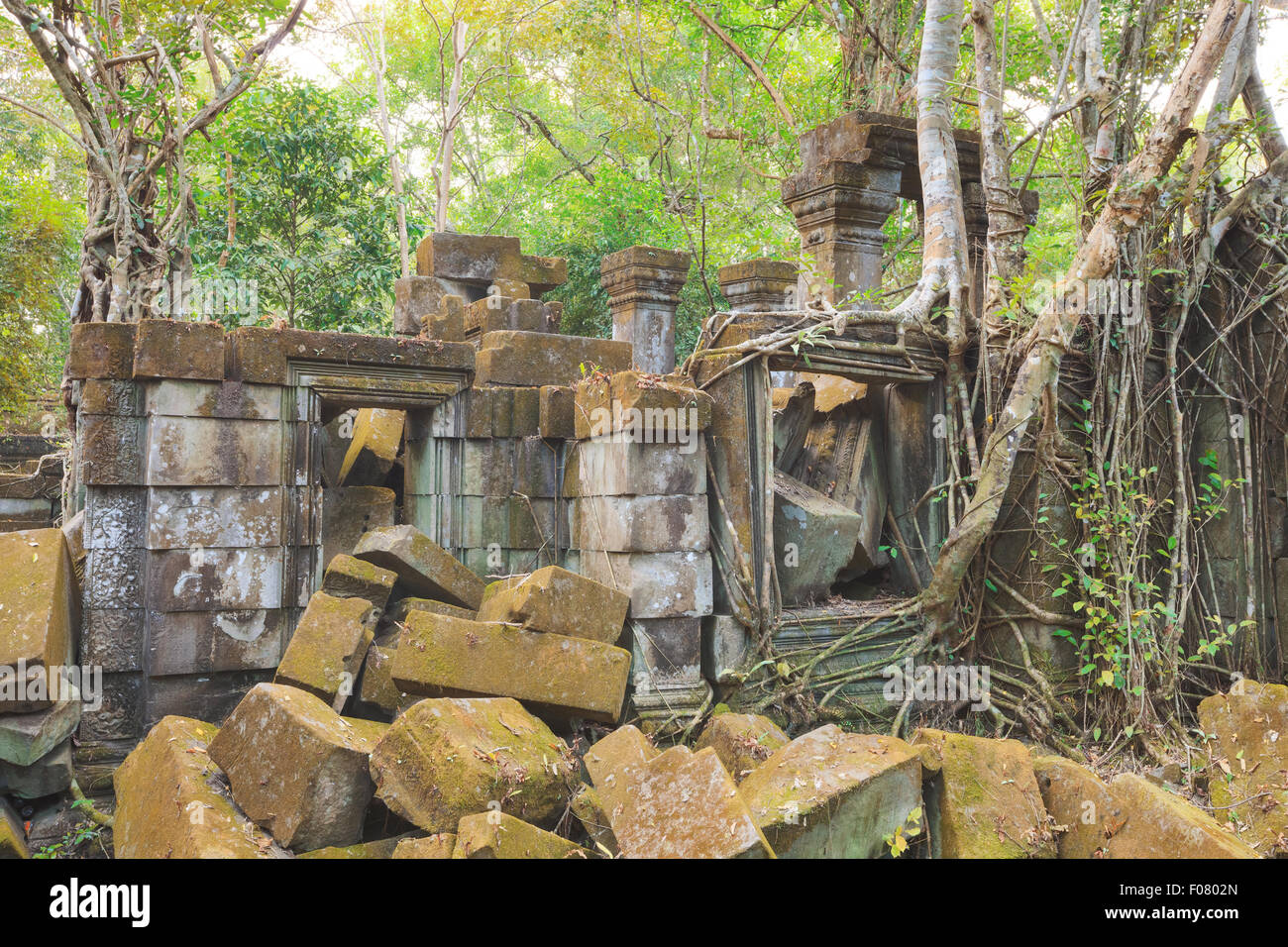 Beng Mealea, Tempio di Angkor, Cambogia Foto Stock