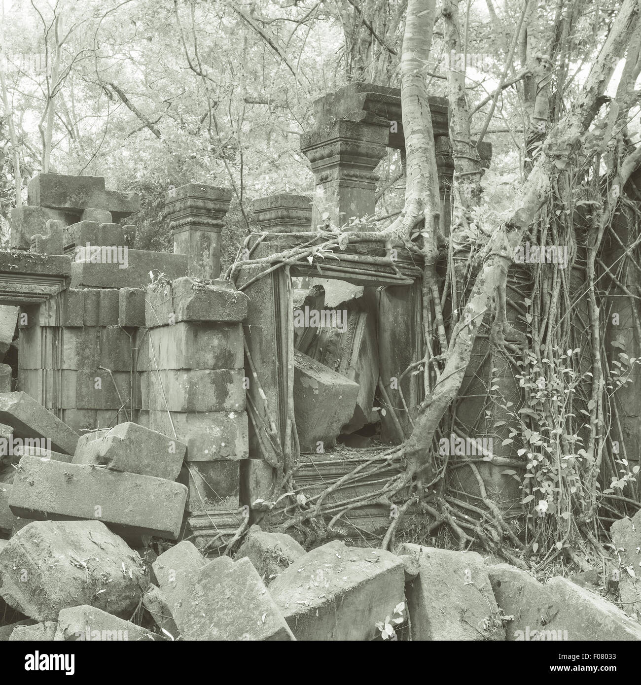 Beng Mealea, Tempio di Angkor, Cambogia Foto Stock