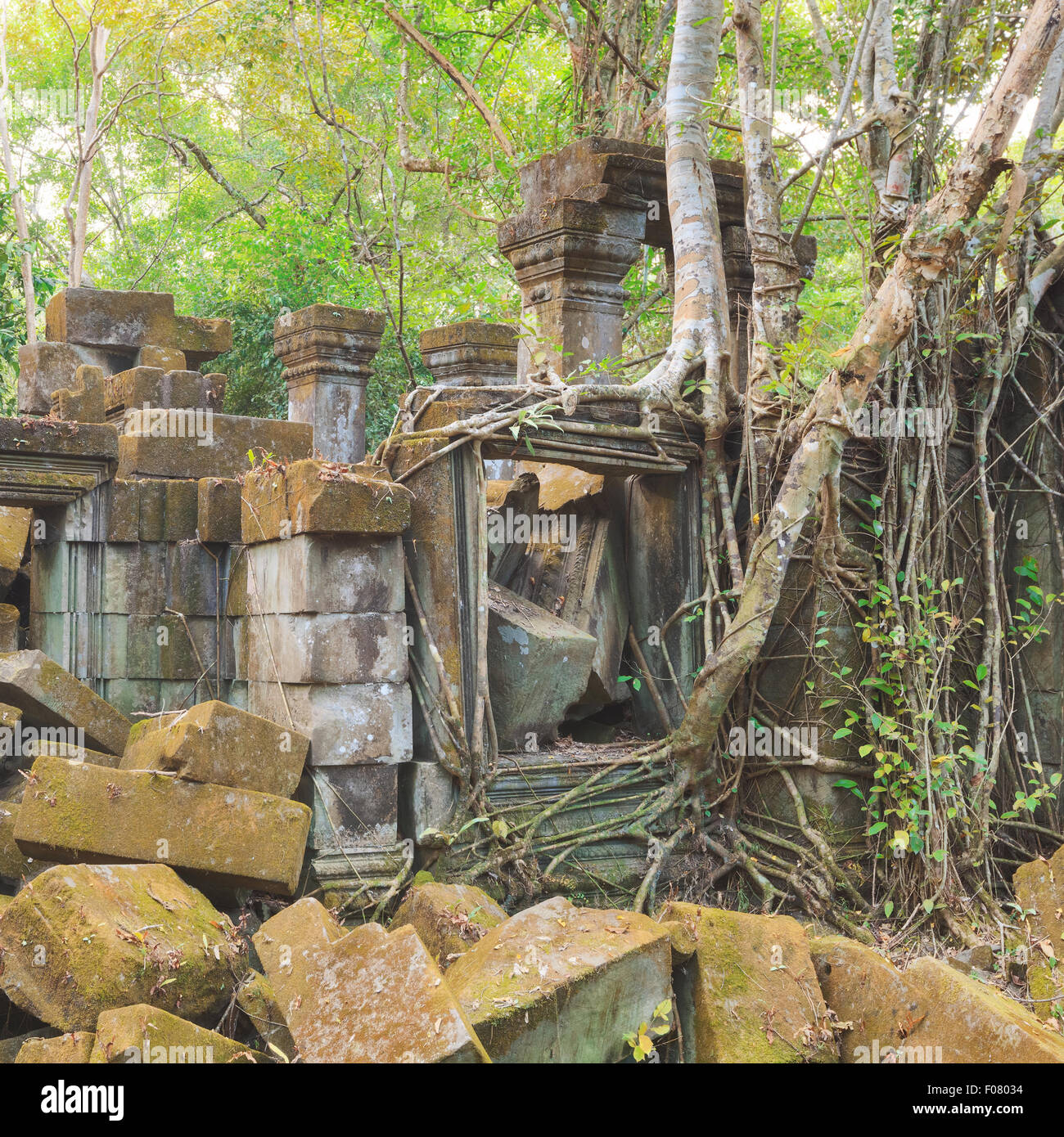 Beng Mealea, Tempio di Angkor, Cambogia Foto Stock