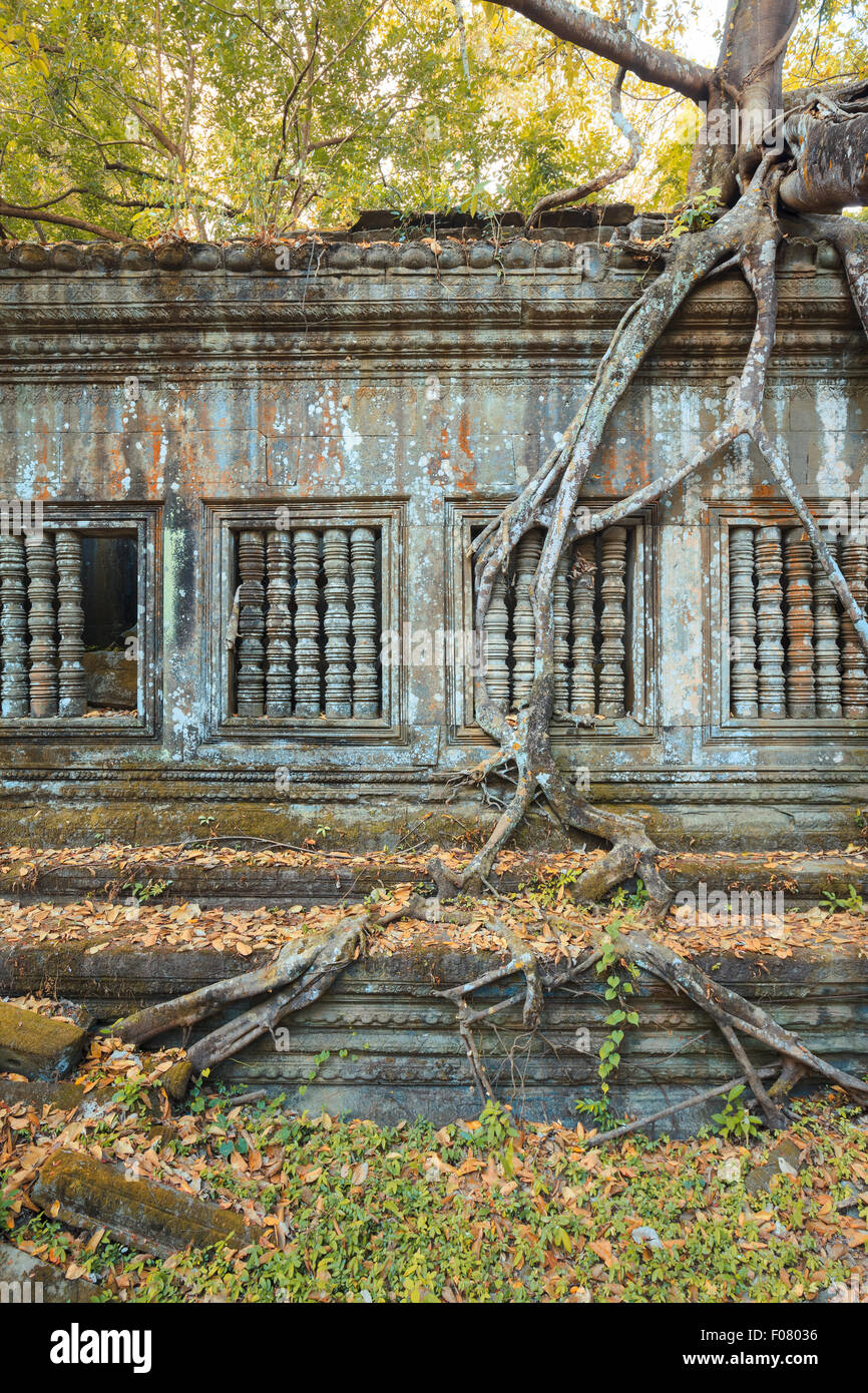 Beng Mealea, Tempio di Angkor, Cambogia Foto Stock