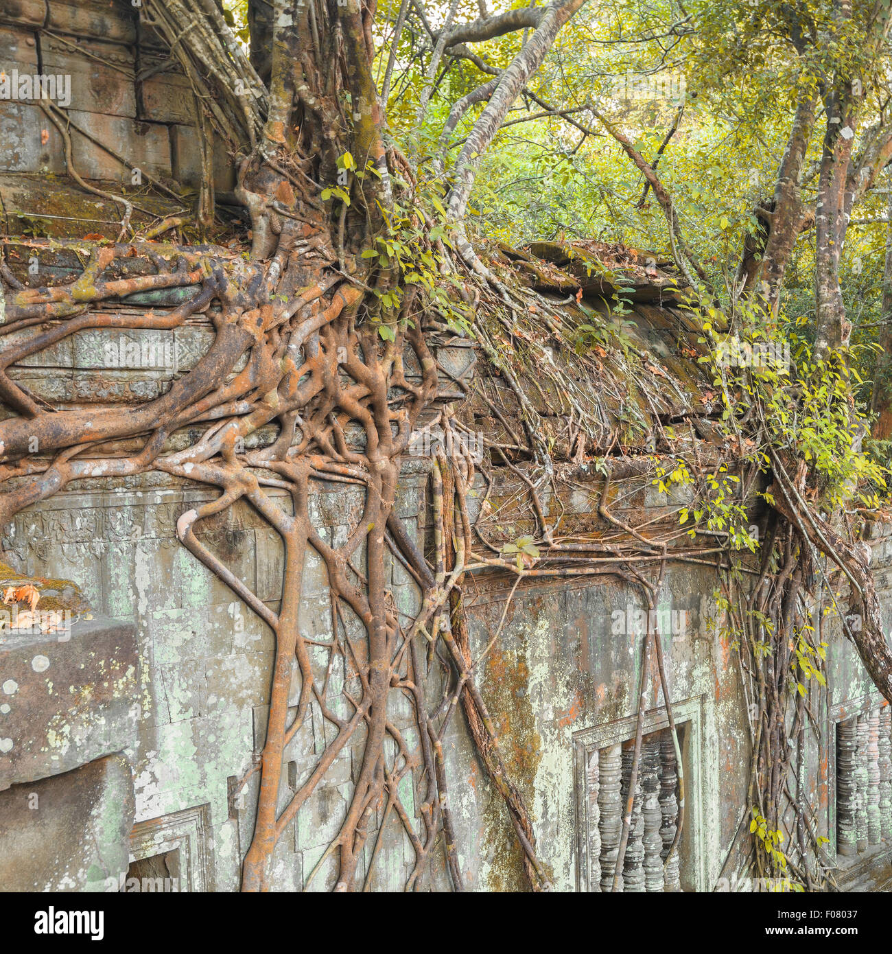 Beng Mealea, Tempio di Angkor, Cambogia Foto Stock