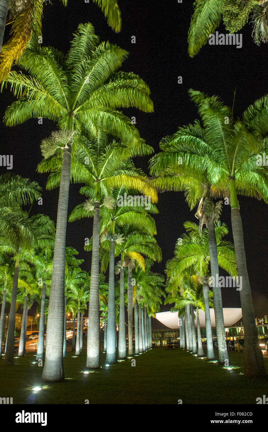 Brailia, DF, Brasile. Viale delle Palme che conduce al piatto del palazzo dei congressi con tempo di notte luminarie. Foto Stock