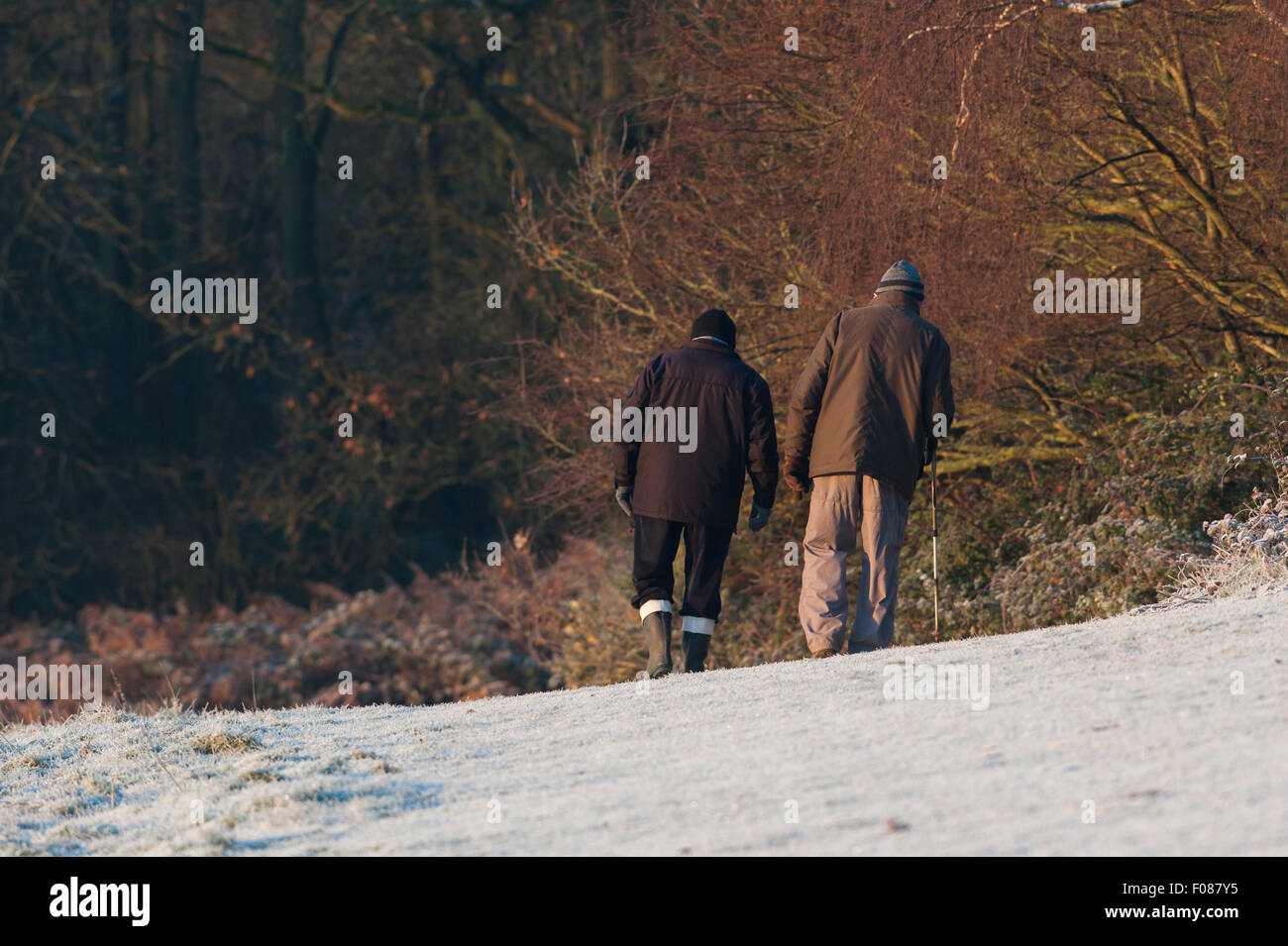Due uomini anziani a piedi dalla fotocamera con i loro cani su un freddo gelido inverno mattina. Foto Stock