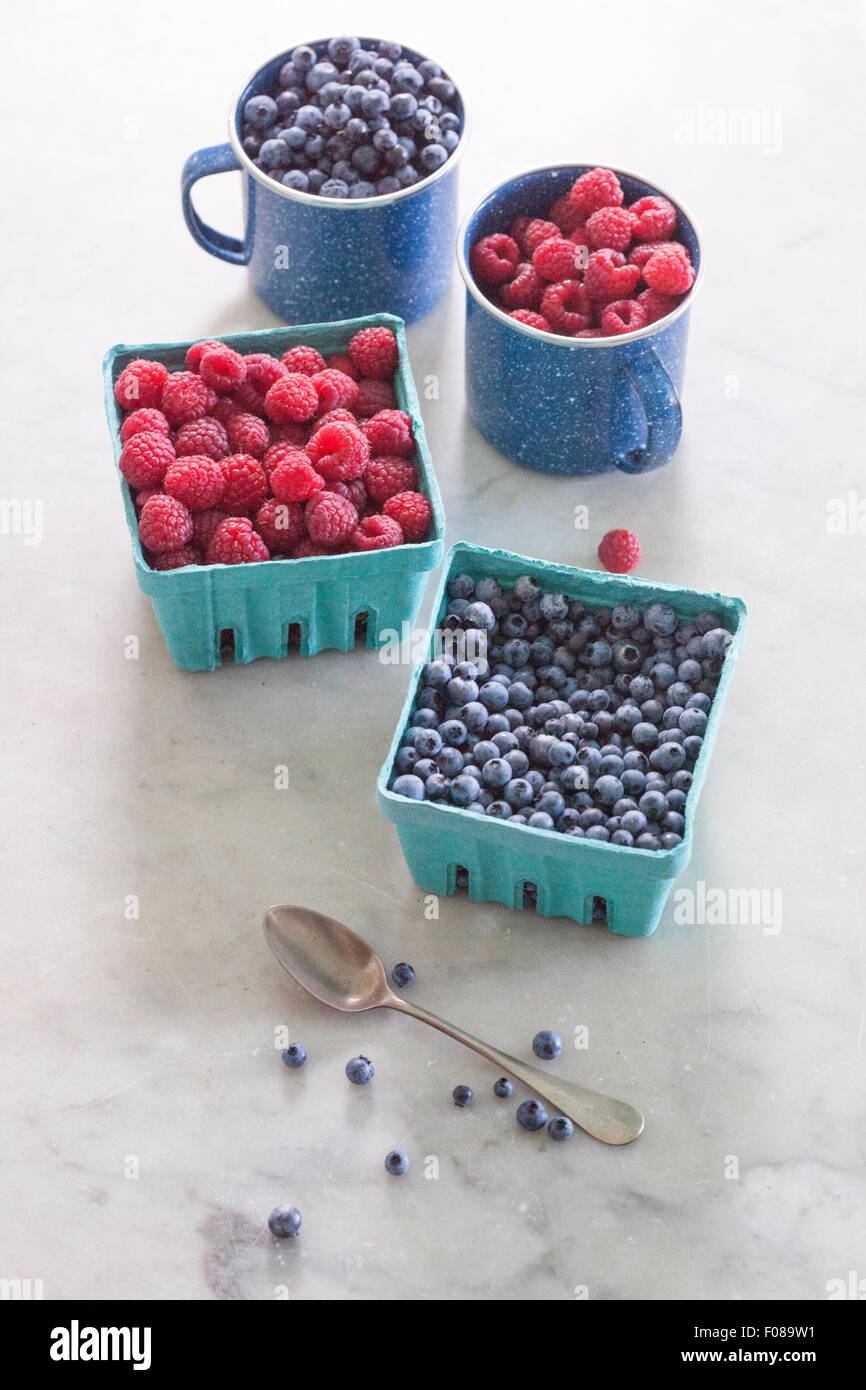 Raccolti freschi frutti di bosco Foto Stock