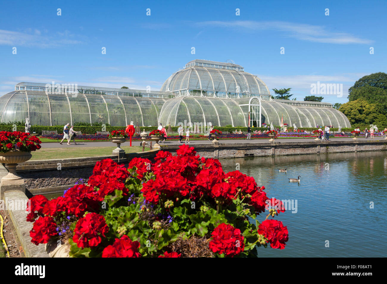 Il giardino delle palme e il lago a Kew Gardens a Londra Foto Stock