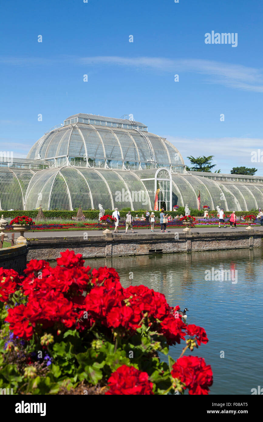 Il giardino delle palme e il lago a Kew Gardens a Londra Foto Stock