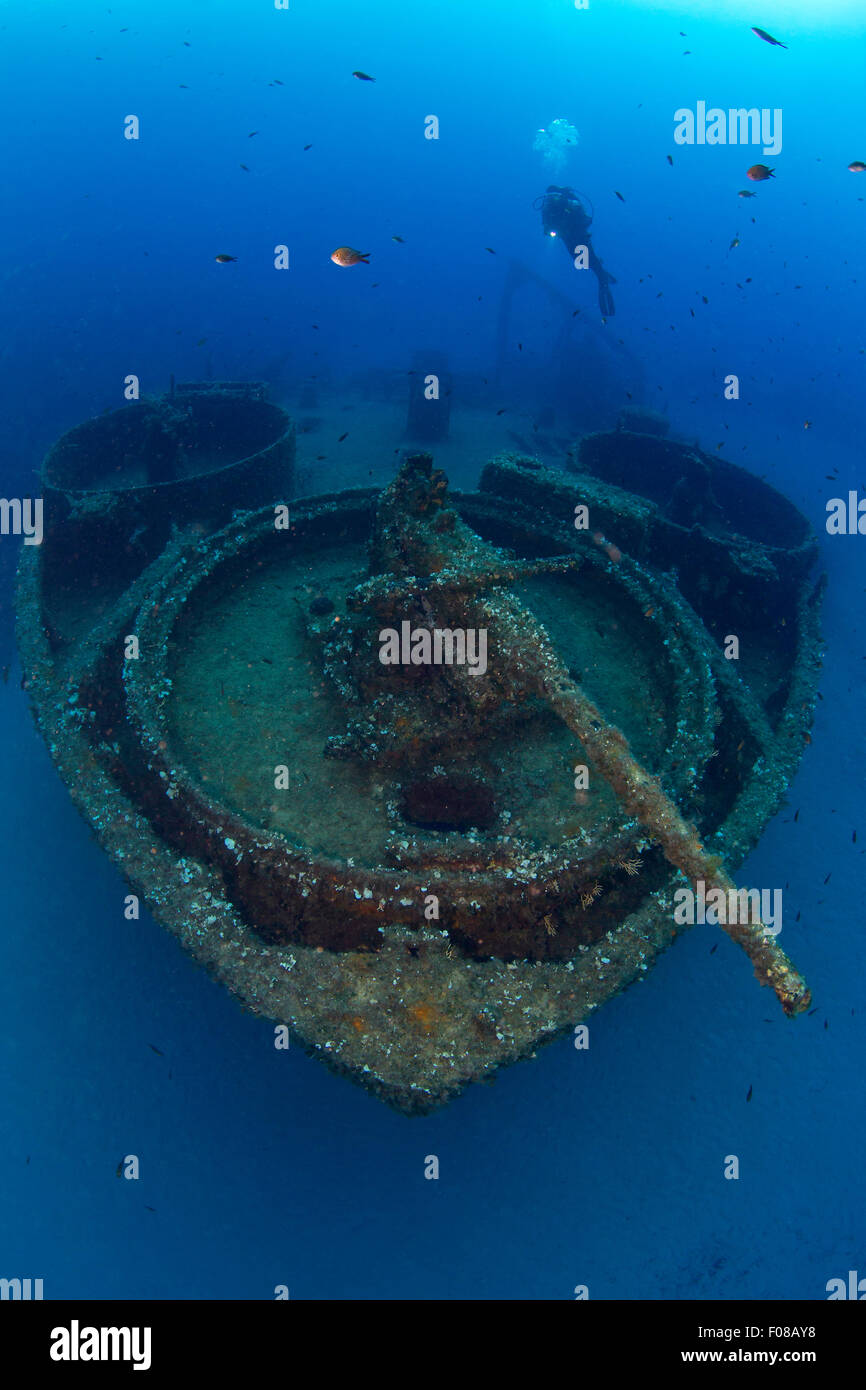 Pistola sulla prua di LST 349 relitto, Ponza, Italia Foto Stock