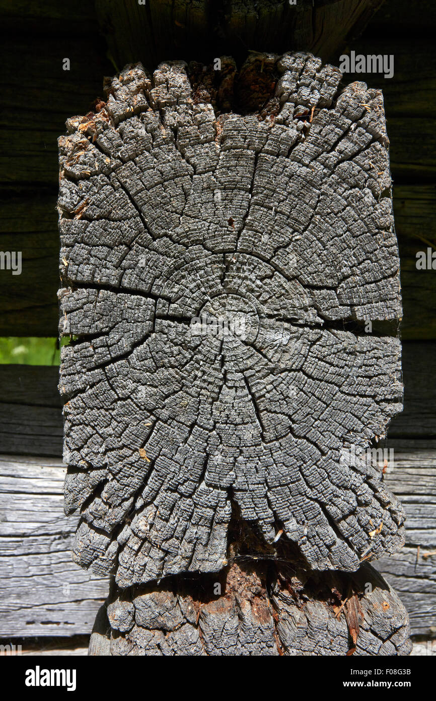 Vecchi log in log fienile spigolo di parete, Finlandia Foto Stock