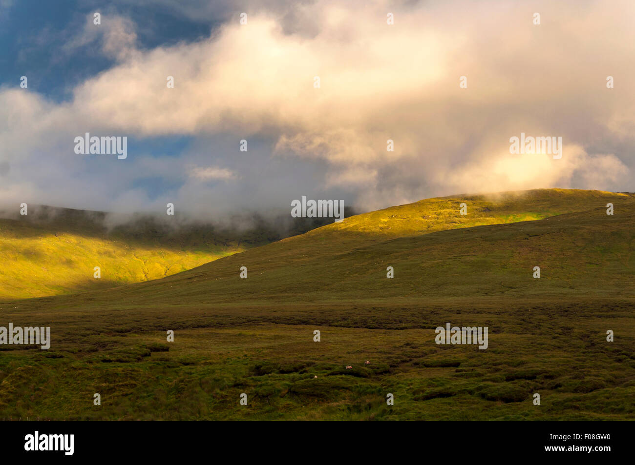 Bog e colline a Crove, County Donegal, Irlanda Foto Stock
