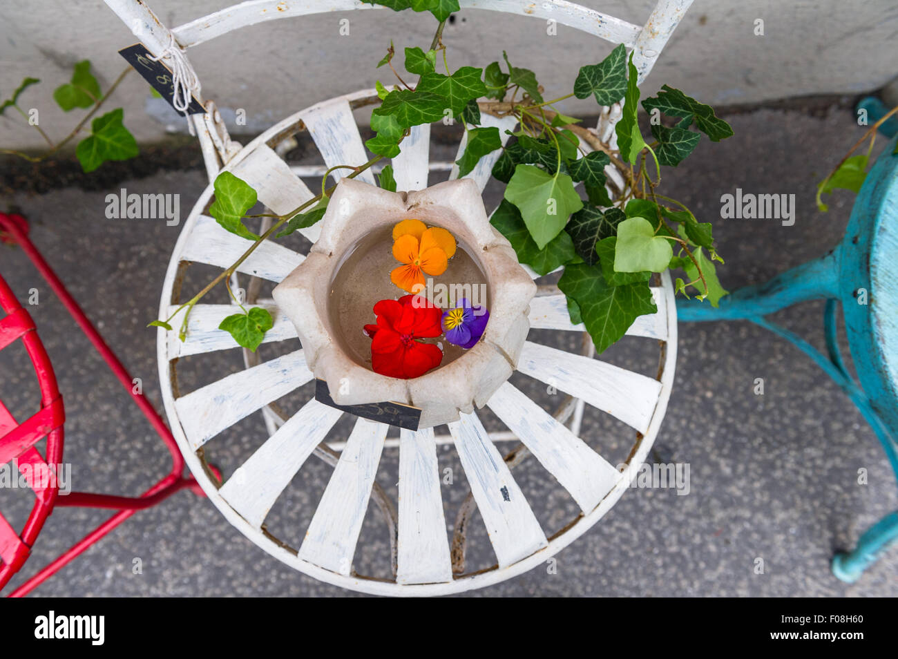 Rosso, giallo e blu di pansy petali galleggianti in un vaso seduto su un bianco rotondo di metallo verniciato sedia. Foto Stock