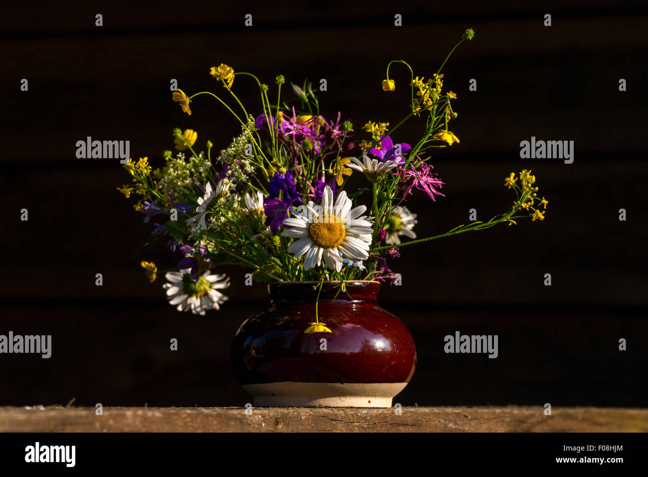 Un mazzo di fiori selvatici con la camomilla e la campanula Foto Stock