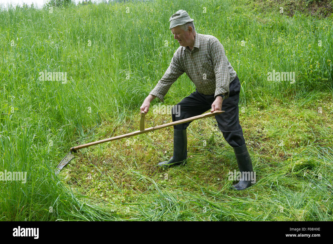 Falce degli agricoltori Strumento manuale per il taglio dell'erba retrò  Strumento agricolo tribale Gli abitanti del villaggio devono avere la  raccolta delle colture / Tagliaerba G47-273 -  Italia