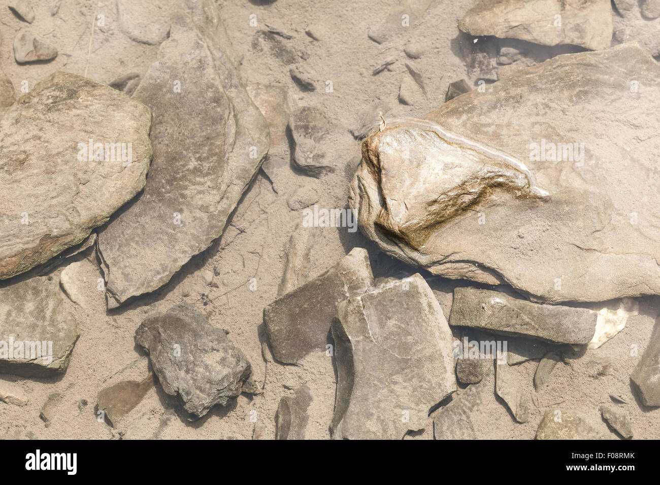 Mountain fiume Prut closeup dei Carpazi Foto Stock