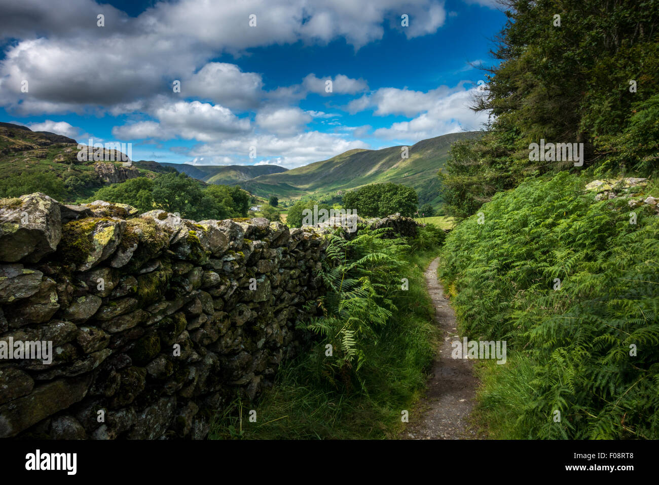 Guardando indietro verso il ferro di cavallo Kentmere dalla valle, Lake District inglese Foto Stock