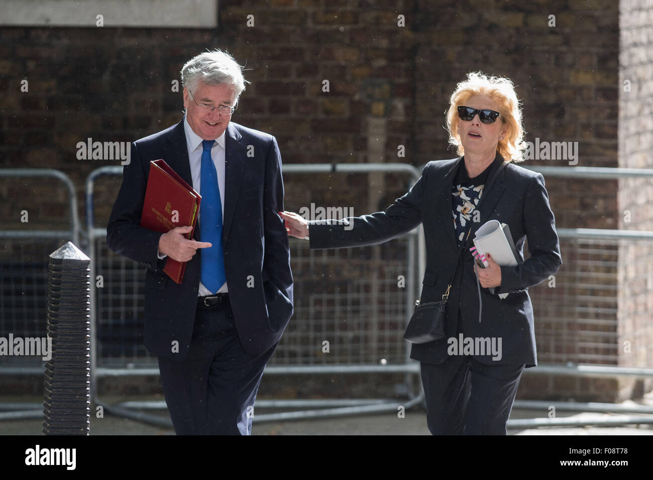 Ministri arrivano a una riunione del gabinetto al 10 di Downing Street. Dotato di: Michael Fallon, Anna Soubry dove: Londra, Regno Unito quando: 09 Giu 2015 Foto Stock