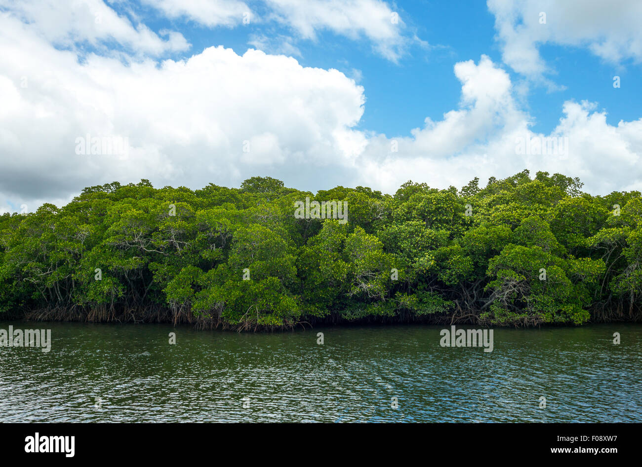 Australia, Queensland, Port Douglas, il Dikson canale di ingresso Foto Stock
