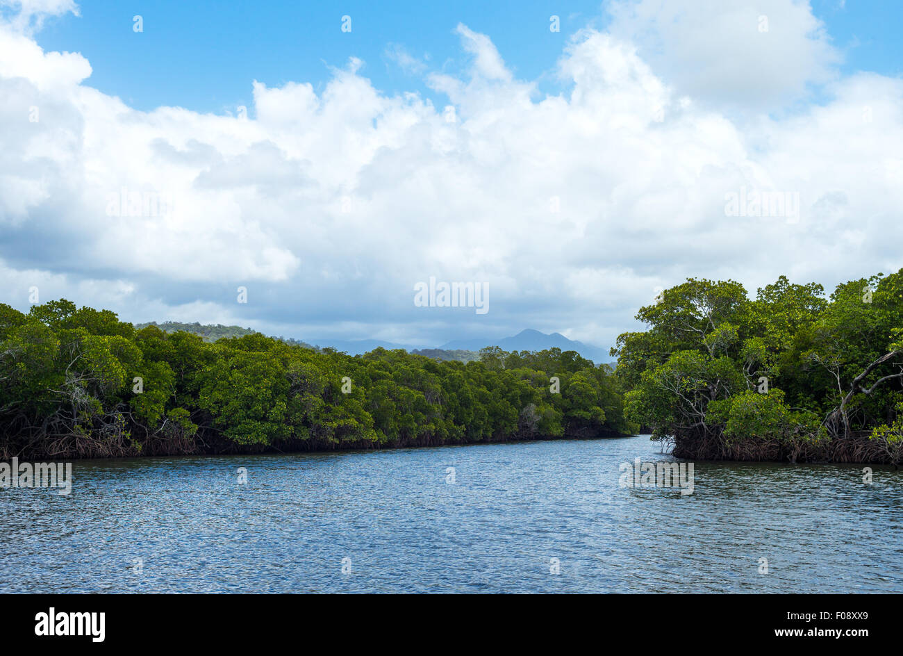 Australia, Queensland, Port Douglas, il Dikson canale di ingresso Foto Stock