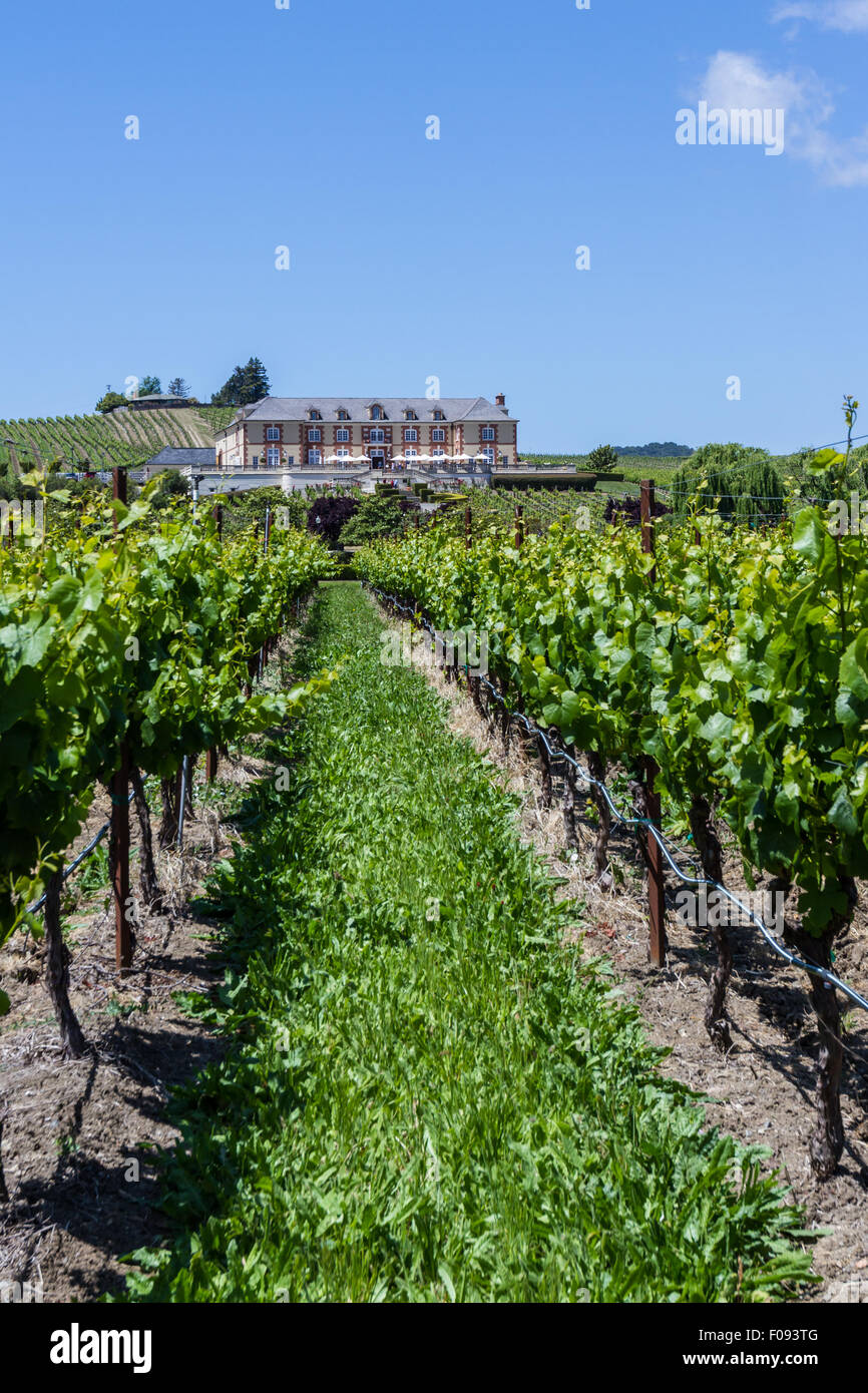 Napa Valley, California - 12 Maggio :bel castello Domaine Carneros un luogo per degustare ottimi vini, 12 maggio 2015 Napa Valley Foto Stock