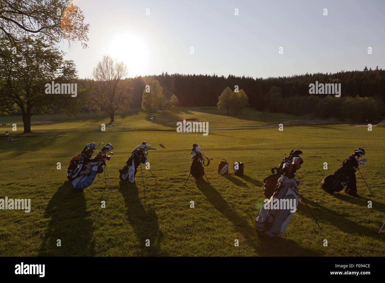 Sacche da golf con il club nella zona occidentale di boschi, Svevia, Augsburg, Baviera, Germania Foto Stock