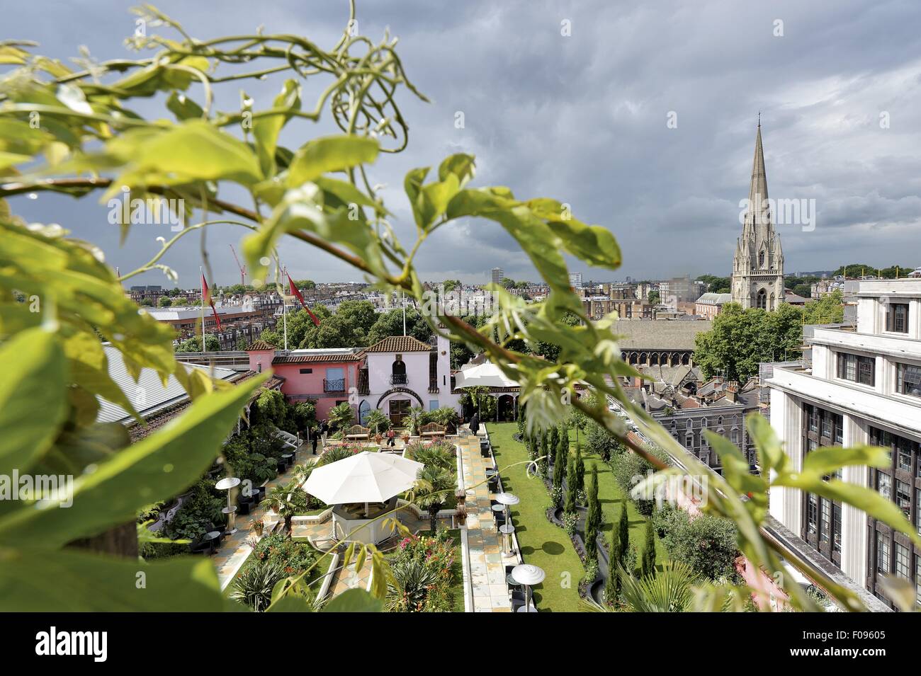 Vista del giardino sul tetto, Kensington, London, Regno Unito Foto Stock