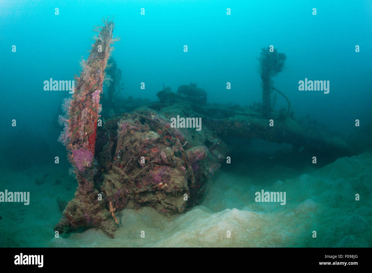 Motore radiale di intrepida immersioni relitto del bombardiere, Marovo Lagoon, Isole Salomone Foto Stock