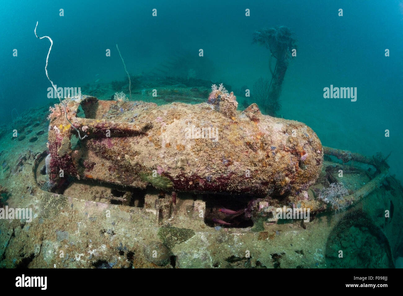 Armati di Bomba intrepida immersioni relitto del bombardiere, Marovo Lagoon, Isole Salomone Foto Stock