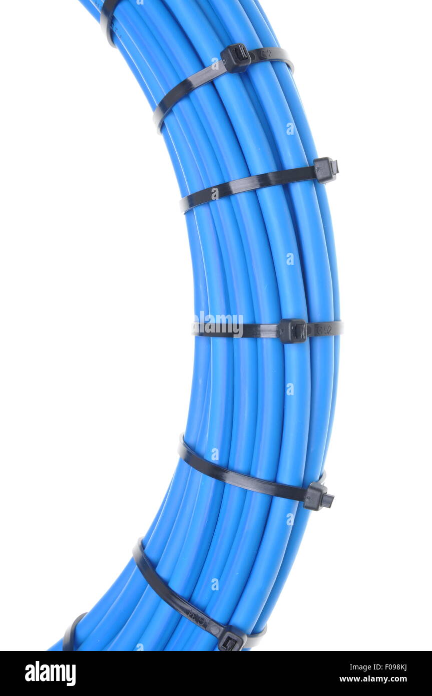 Cavo di rete di colore blu con le fascette per cavi isolati su sfondo bianco Foto Stock