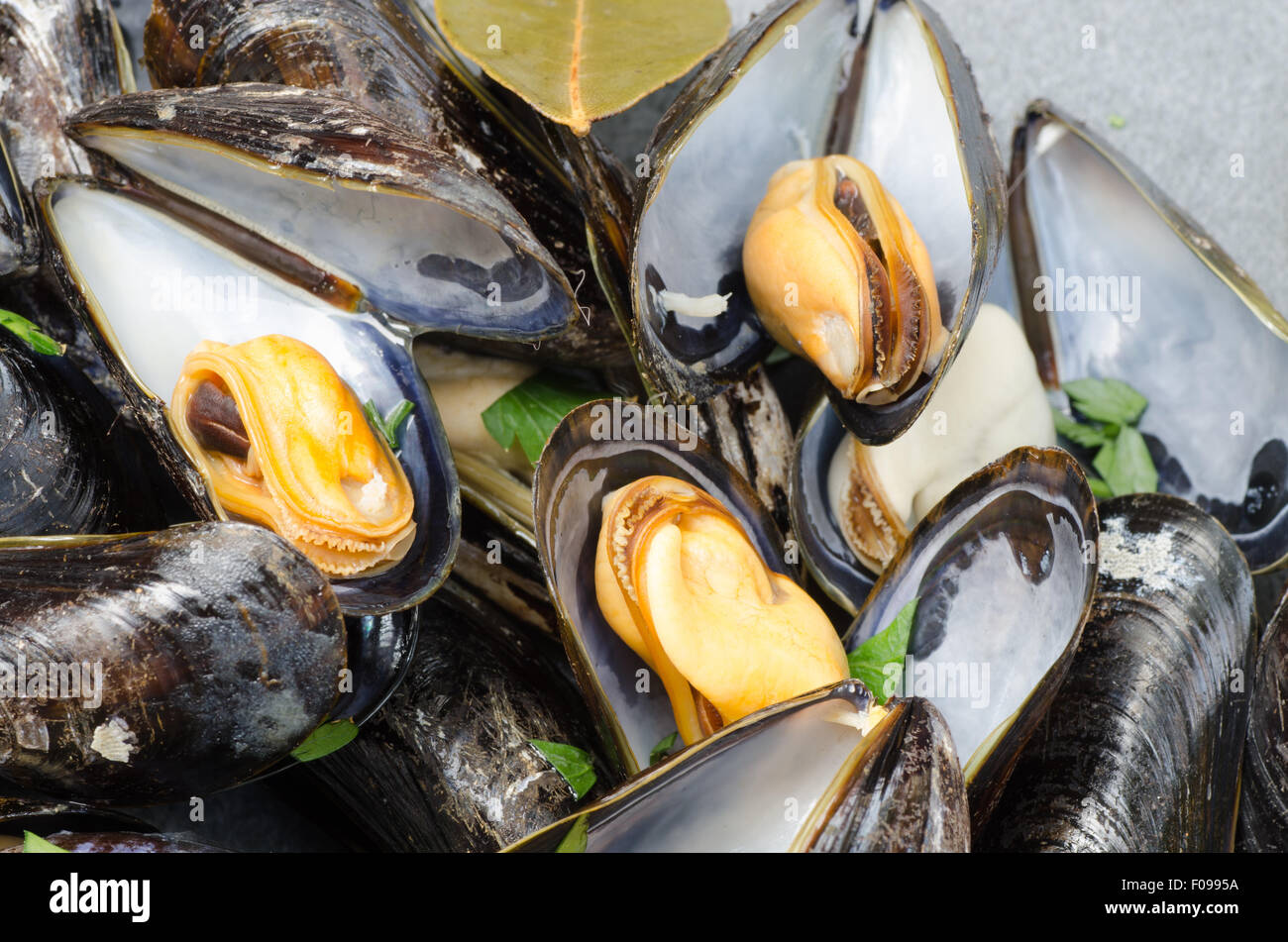 Closeup Gustose Cozze Bollite Foto Stock Alamy
