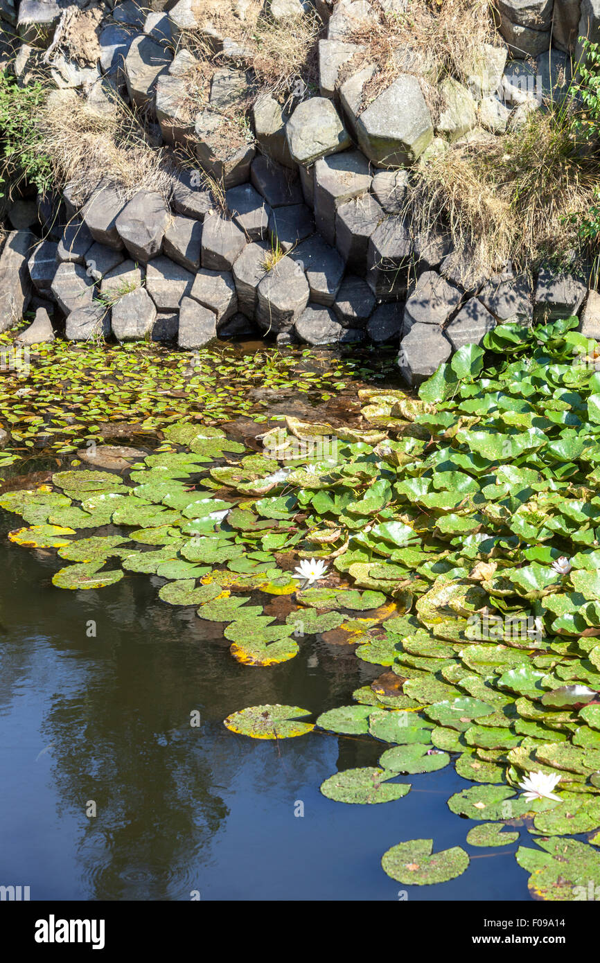 Panska Skala, formazione geologica, organo di pietra, Kamenicky Senov, Repubblica Ceca Foto Stock