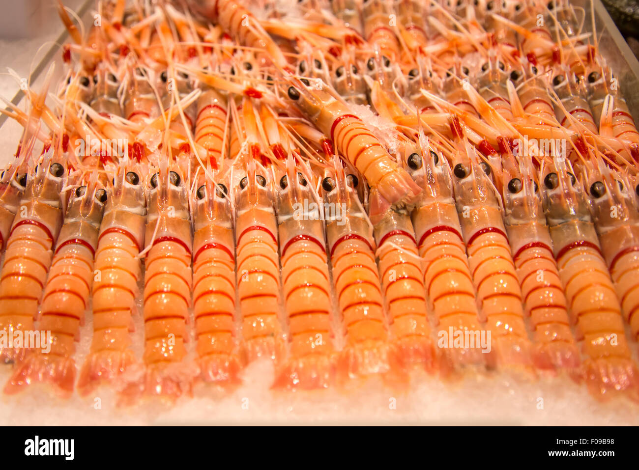Scampi sul mercato del pesce Foto Stock