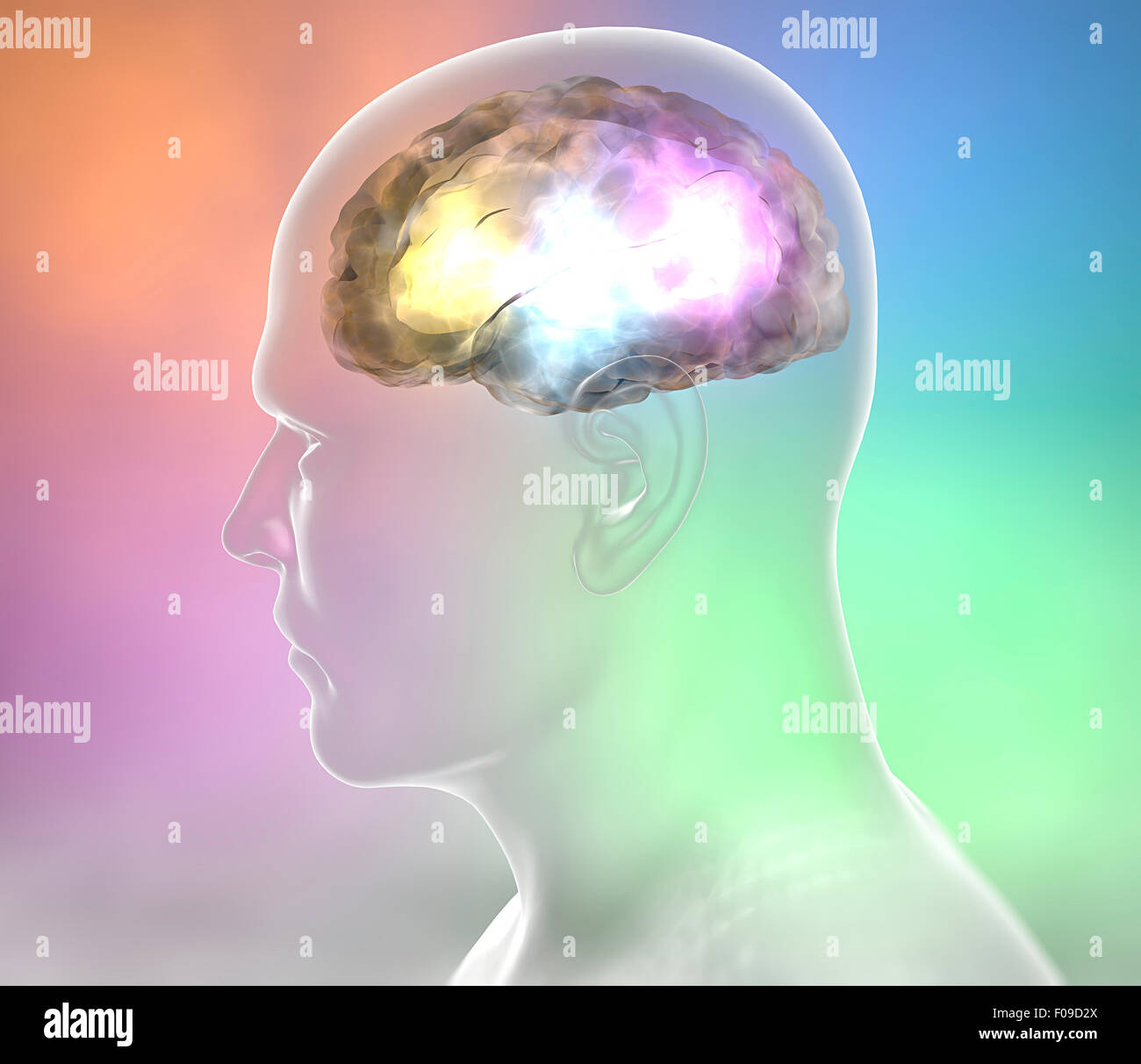 Anatomia umana di neuroni del cervello su sfondo colorato Foto Stock