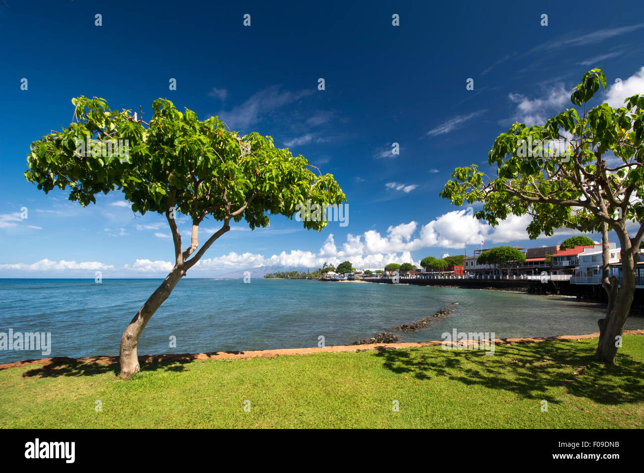 Vista di Lahaina di Front Street, Maui, Hawaii Foto Stock