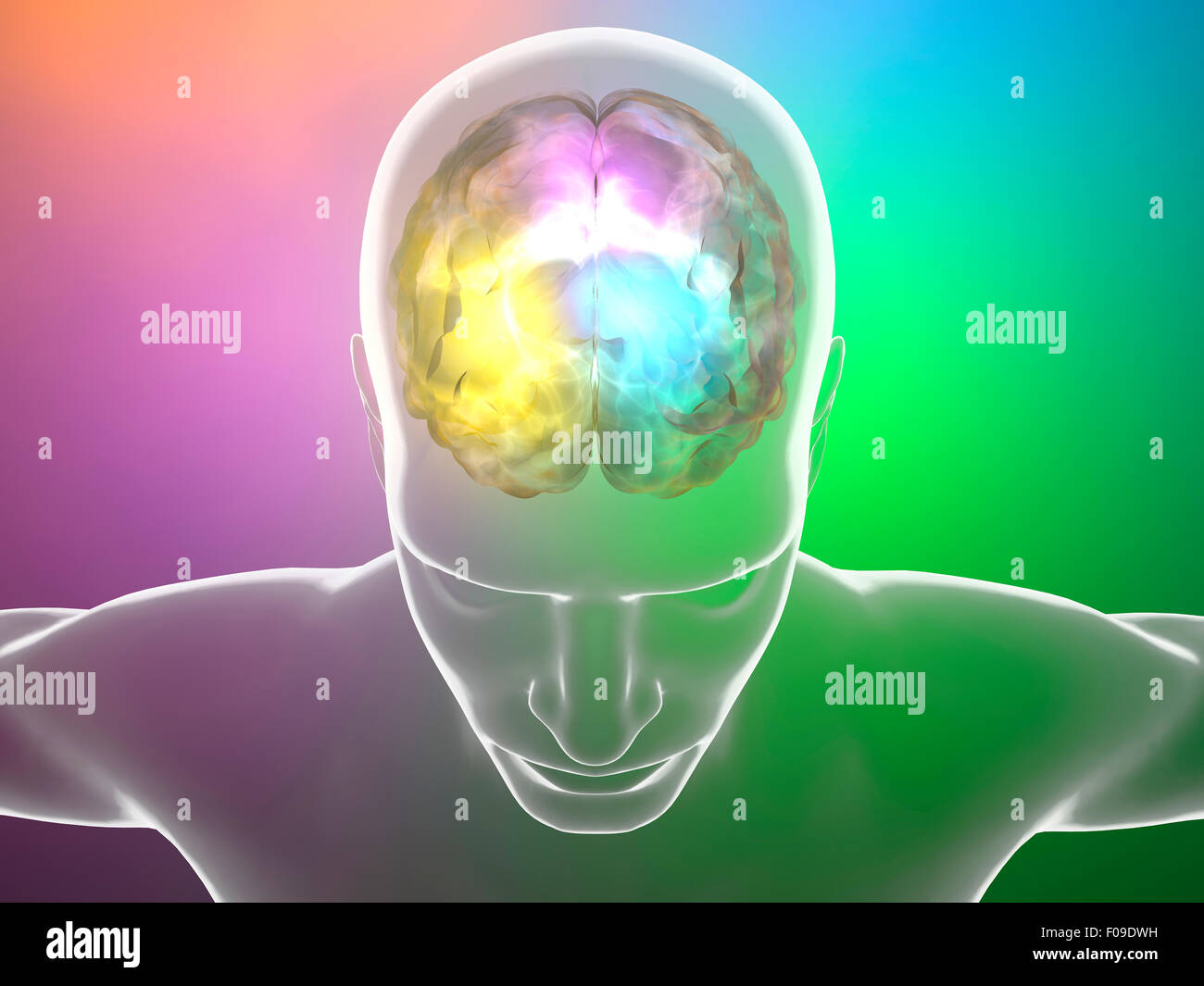 Anatomia umana di neuroni del cervello su sfondo colorato Foto Stock