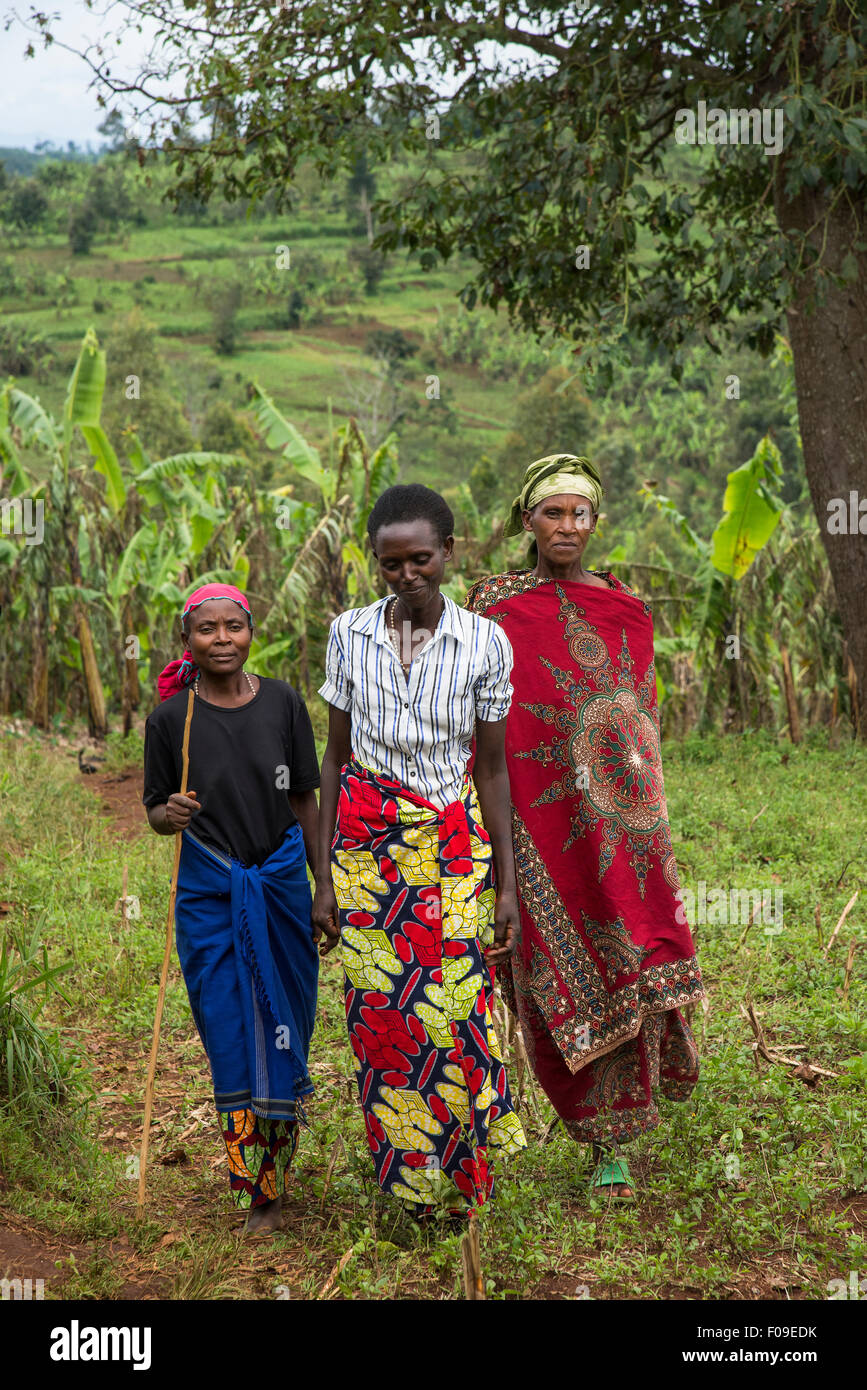 Genocidio vedove caffè collettivo, il lago Kivu, Ruanda Foto Stock