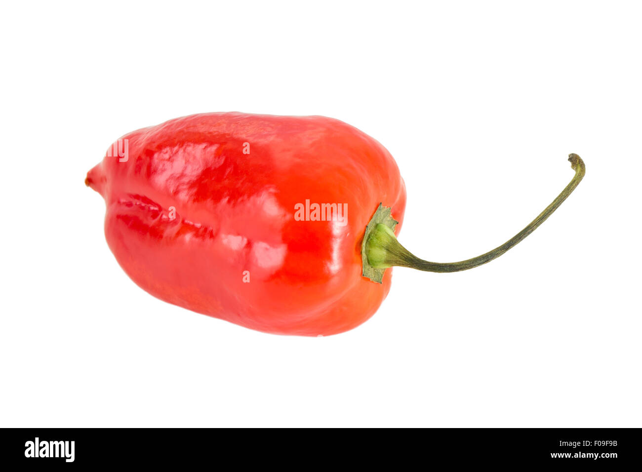 Close-up di un intero ripe rosso peperoncino habanero isolati su sfondo bianco Foto Stock