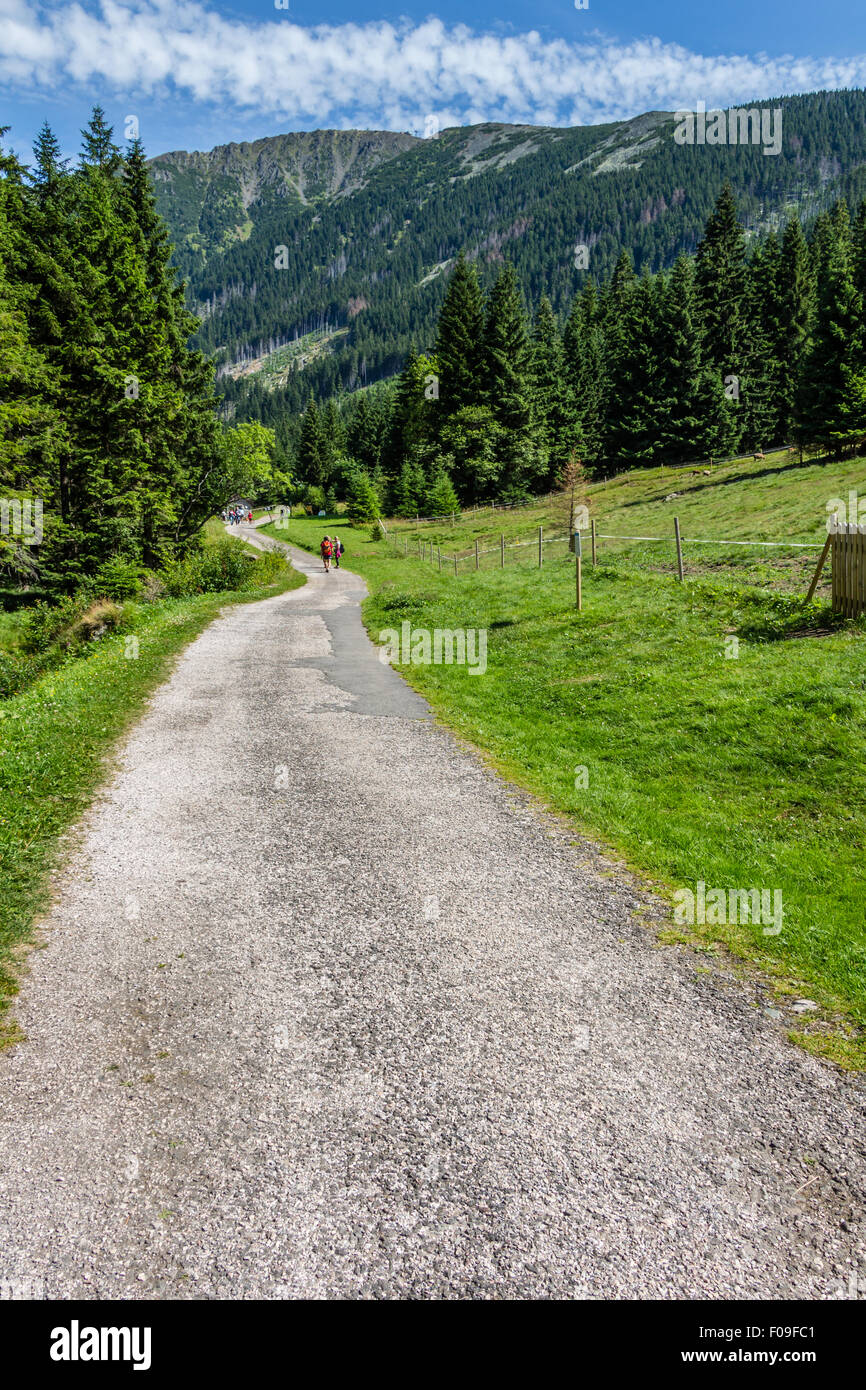 Sul sentiero vicino a Pec pod Snezkou nelle montagne di Krkonose, Repubblica Ceca Foto Stock