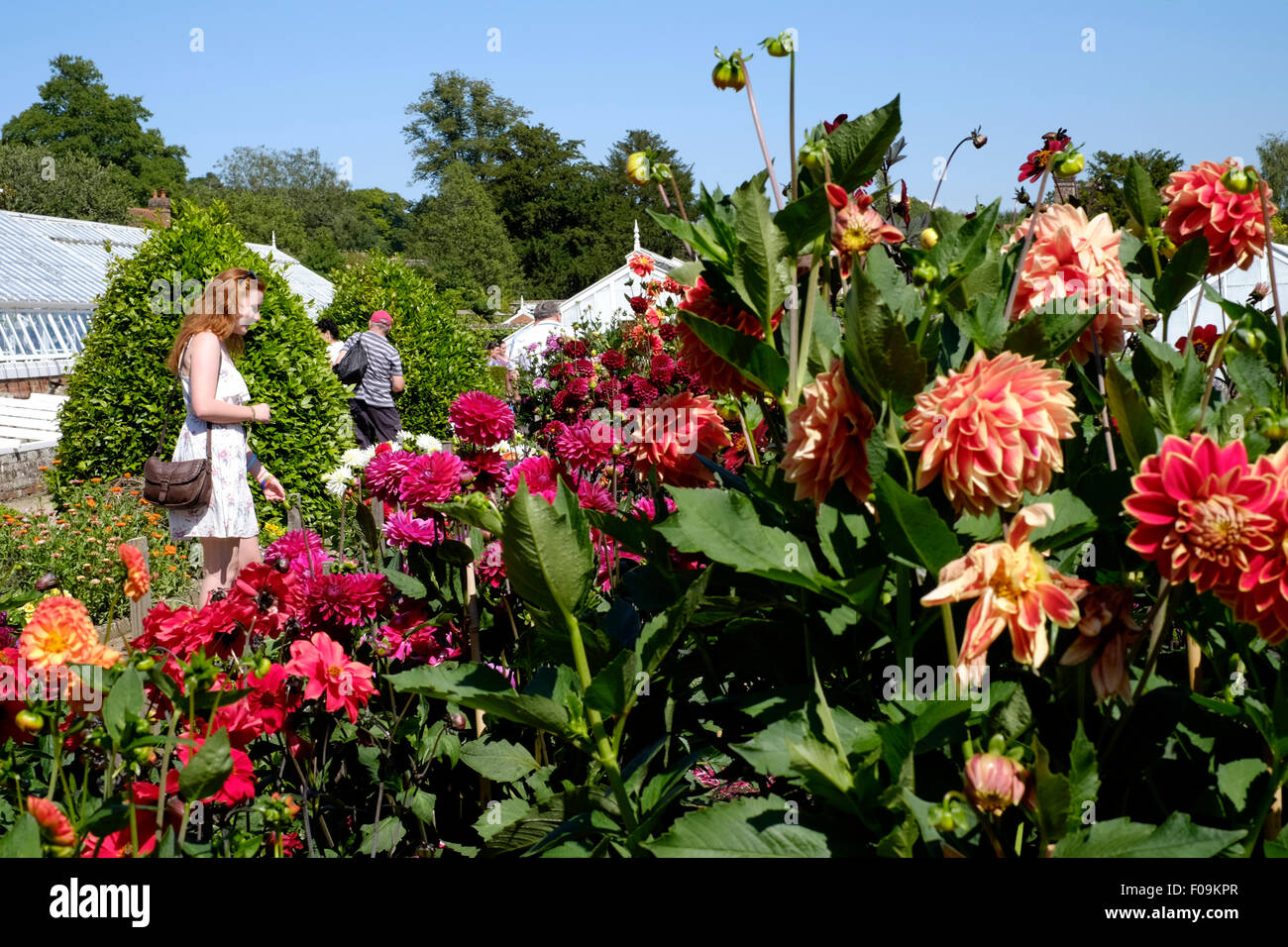 Persone godetevi il tranquillo giardino lontano dal peperoncino festival West Dean Gardens chichester England Regno Unito 2015 Foto Stock